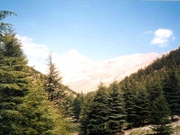 KIZ01060926