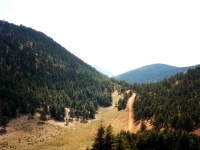 KIZ01060929