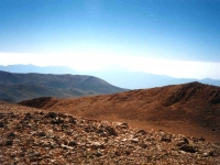 KIZ01061039
