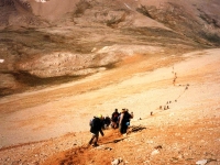 KIZ01061044