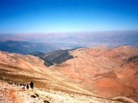 KIZ01061046