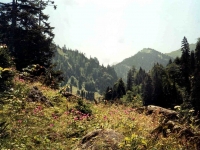 KAC9672671AYDER