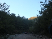 DSC08037