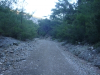 DSC08038