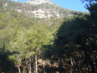 DSC08051