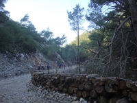 DSC08057