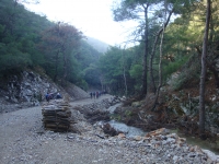 DSC08058