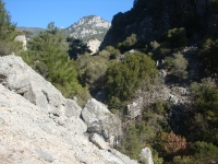 DSC08061