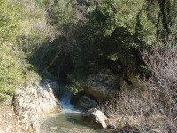 DSC08065