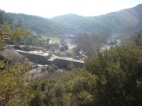 DSC08071