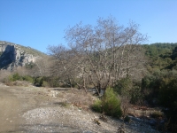 DSC08073