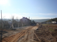 DSC08074