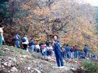 KAY931253
