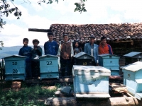 KES9462720