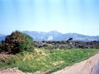 MA93110620