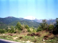 MA93110623