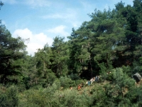 MEN02051312