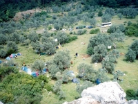 MEN02051313