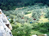 MEN02051314