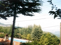 MURAT02090612