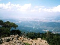 MURAT02090618