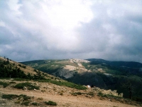 MURAT02090619
