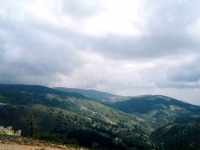 MURAT02090620