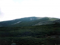 MURAT02090726