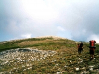 MURAT02090727