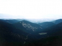 MURAT02090733