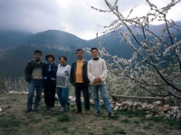 NIF9304182