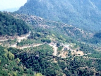 NIF9310341