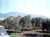 NIF941
