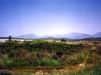 NIF943