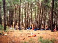 NIF943273