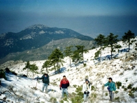 NIF953122