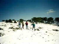 NIF953123