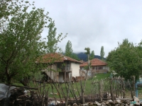 DSC07551