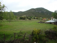 DSC07552