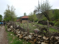 DSC07553