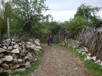 DSC07554