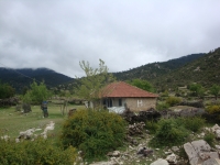 DSC07555