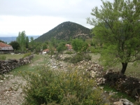 DSC07556