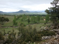 DSC07560