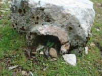 DSC07591
