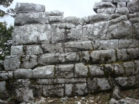 DSC07595