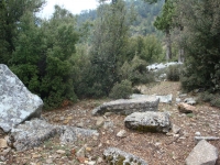 DSC07600