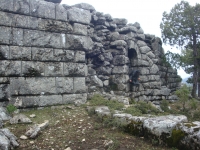 DSC07603