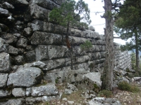 DSC07605