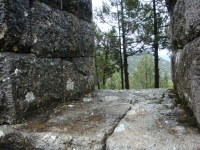 DSC07607